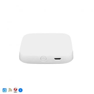 Wireless Smart ZigBee & Bluetooth Mesh Gateway